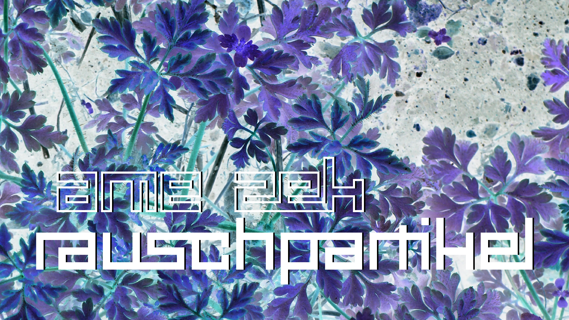 2021-04-17 Ame Zek - rauschpartikel (elektro akustisch) (Recording, Mixe)