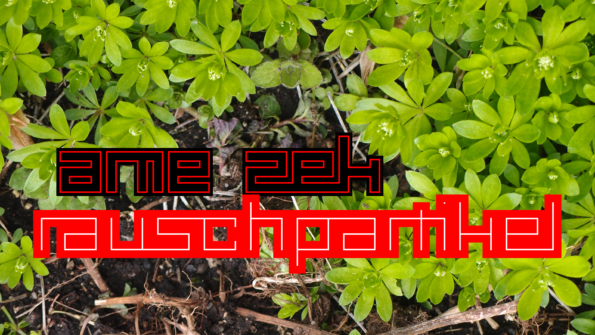 2021-04-17 Ame Zek - rauschpartikel (elektro akustisch) (Recording, Mixe)