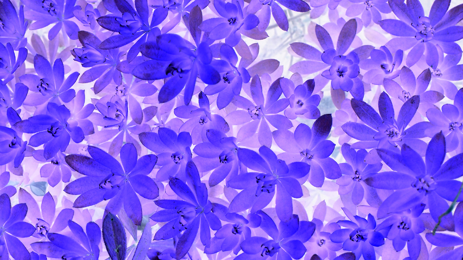 2021-04-17 Ame Zek - rauschpartikel (elektro akustisch) (Recording, Mixe)