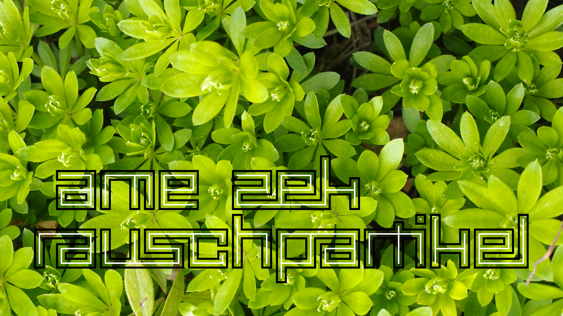 2021-04-17 Ame Zek - rauschpartikel (elektro akustisch) (Recording, Mixe)