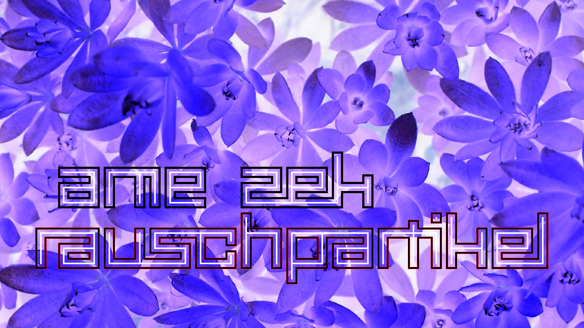 2021-04-17 Ame Zek - rauschpartikel (elektro akustisch) (Recording, Mixe)