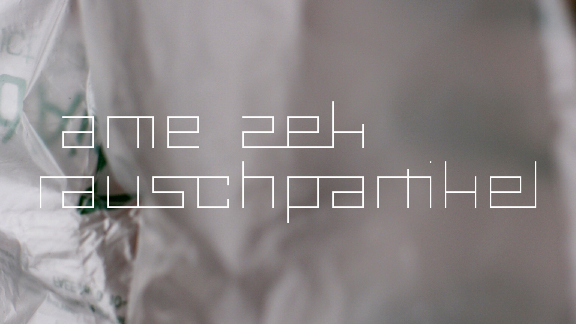 2021-04-19 Ame Zek - rauschpartikel (Vocoder Remixe) (Mixe, Typo Grafik)