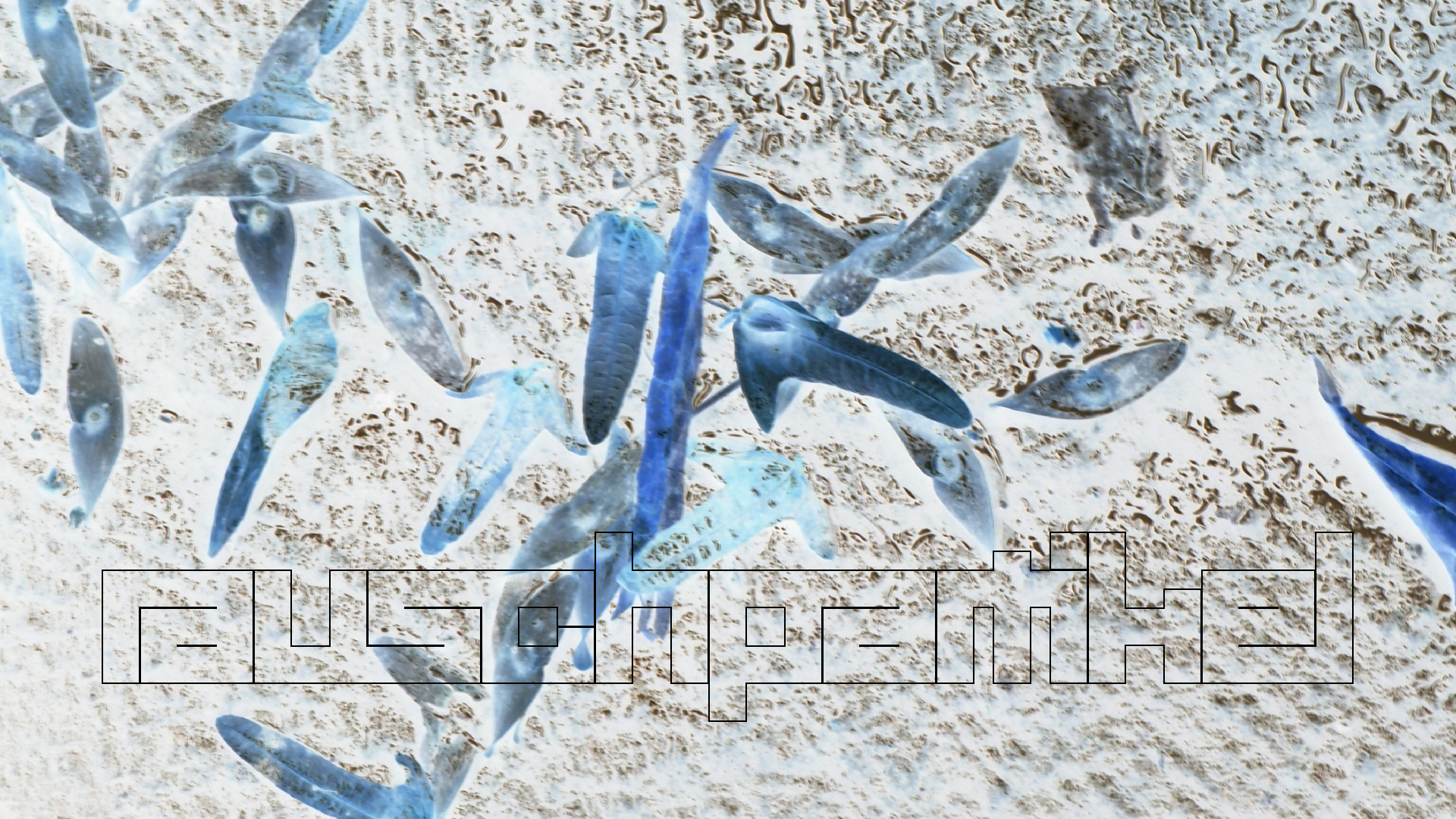 2021-10 Das Kleine Regen Rhythmus Orchester (Banjo Remix 2) (Audio, Foto, Typo Grafik)