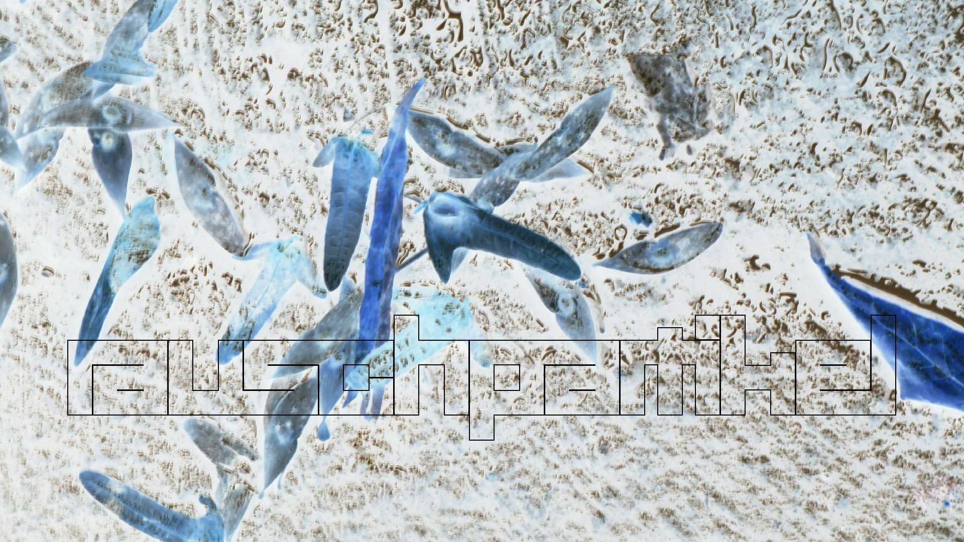 2021-10 Das Kleine Regen Rhythmus Orchester (Banjo Remix 2) (Audio, Foto, Typo Grafik)