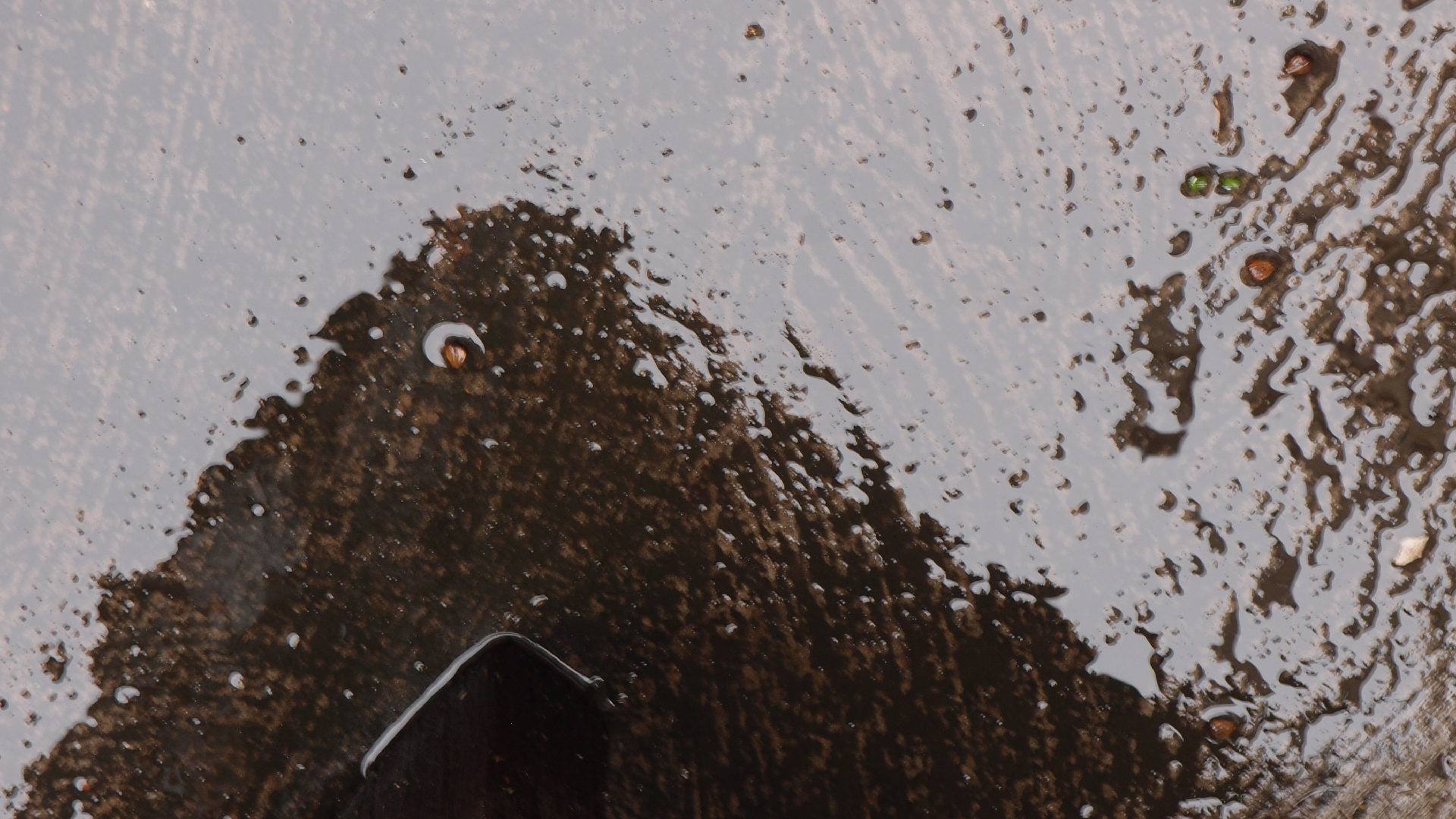 2021-10 Das Kleine Regen Rhythmus Orchester (Banjo Remix 2) (Audio, Foto, Typo Grafik)