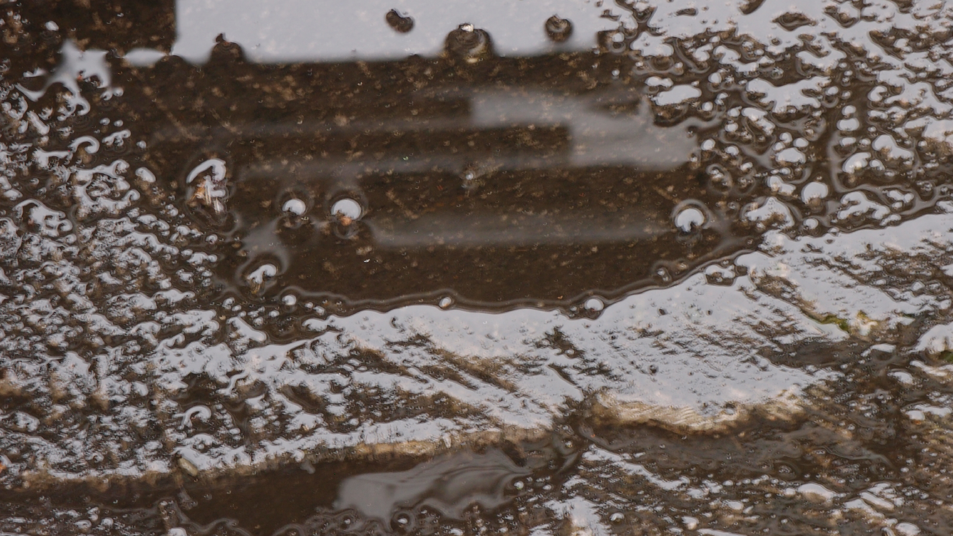 2021-10 Das Kleine Regen Rhythmus Orchester (Banjo Remix 2) (Audio, Foto, Typo Grafik)