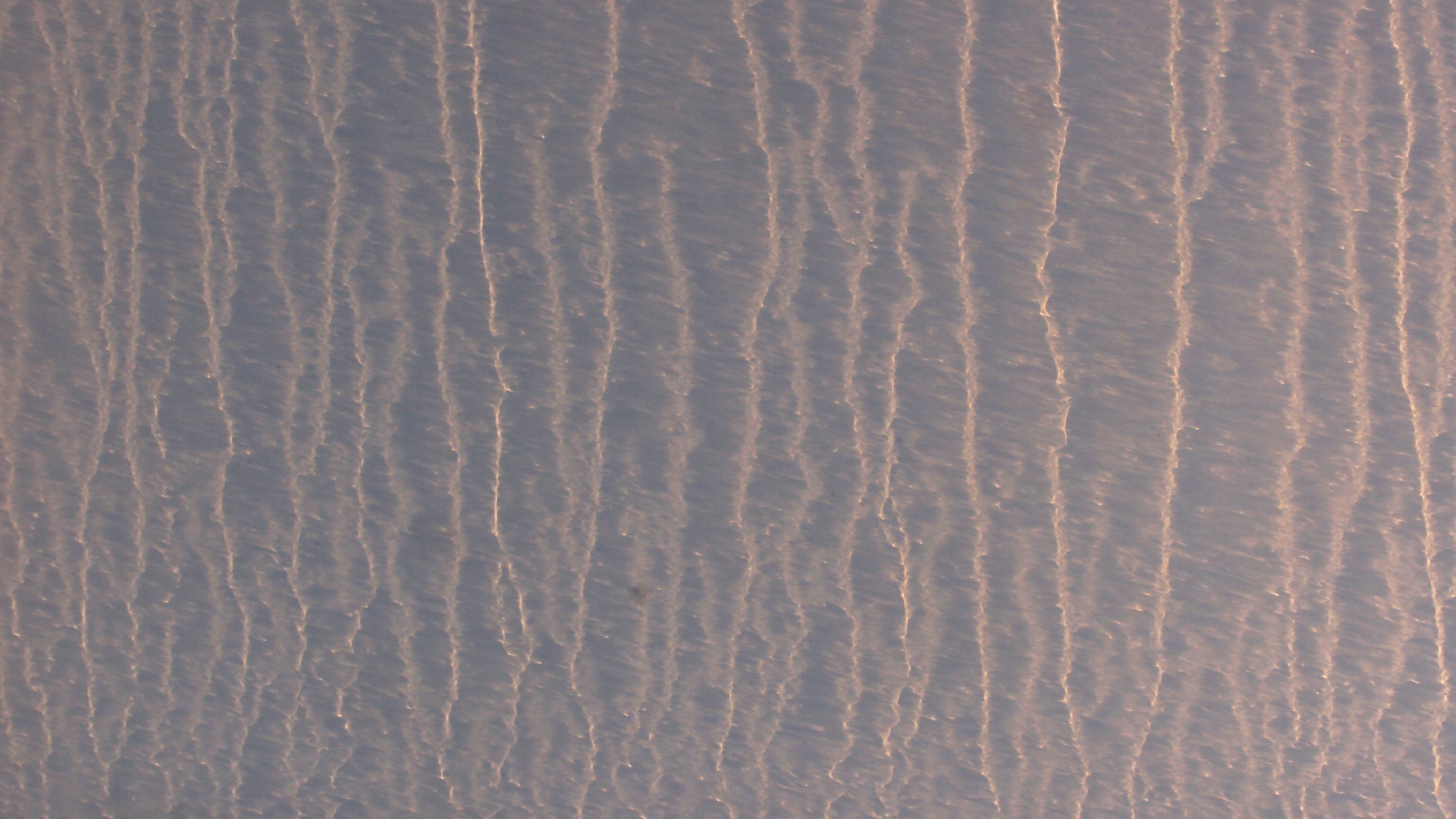 2021-10 Das Kleine Regen Rhythmus Orchester (Banjo Remix 2) (Audio, Foto, Typo Grafik)