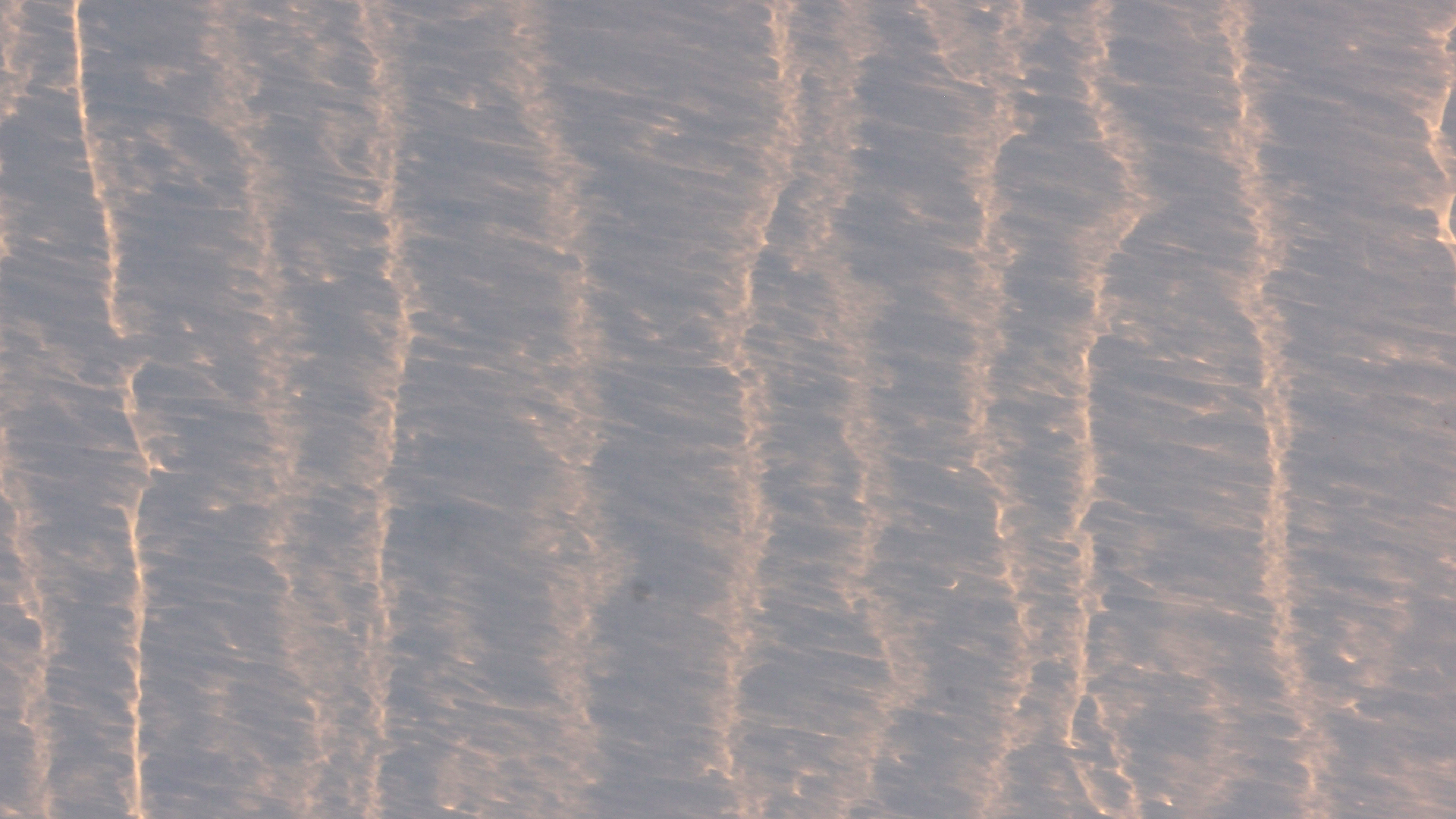 2021-10 Das Kleine Regen Rhythmus Orchester (Banjo Remix 2) (Audio, Foto, Typo Grafik)