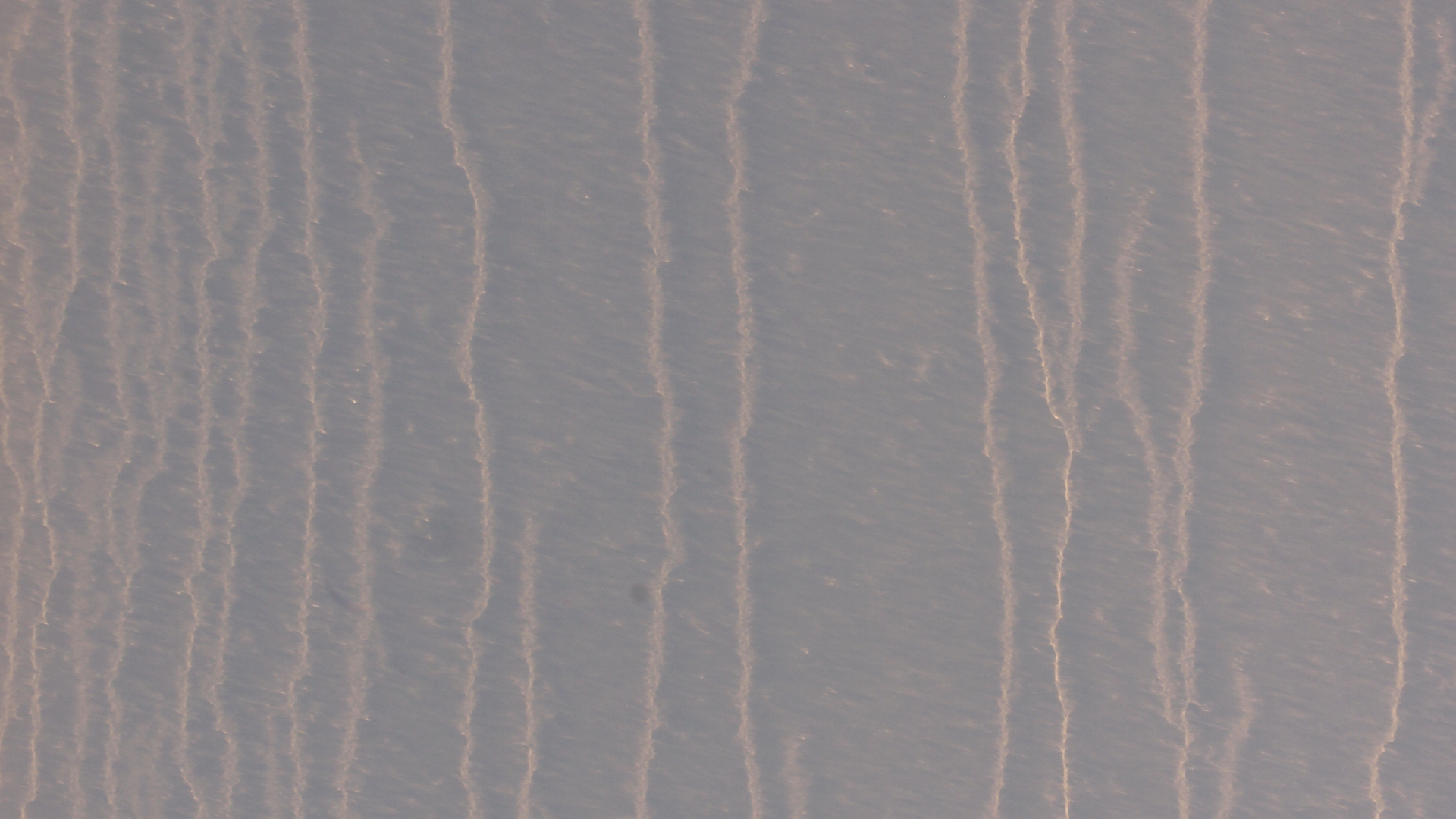 2021-10 Das Kleine Regen Rhythmus Orchester (Banjo Remix 2) (Audio, Foto, Typo Grafik)