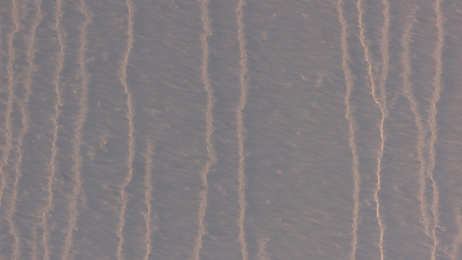 2021-10 Das Kleine Regen Rhythmus Orchester (Banjo Remix 2) (Audio, Foto, Typo Grafik)