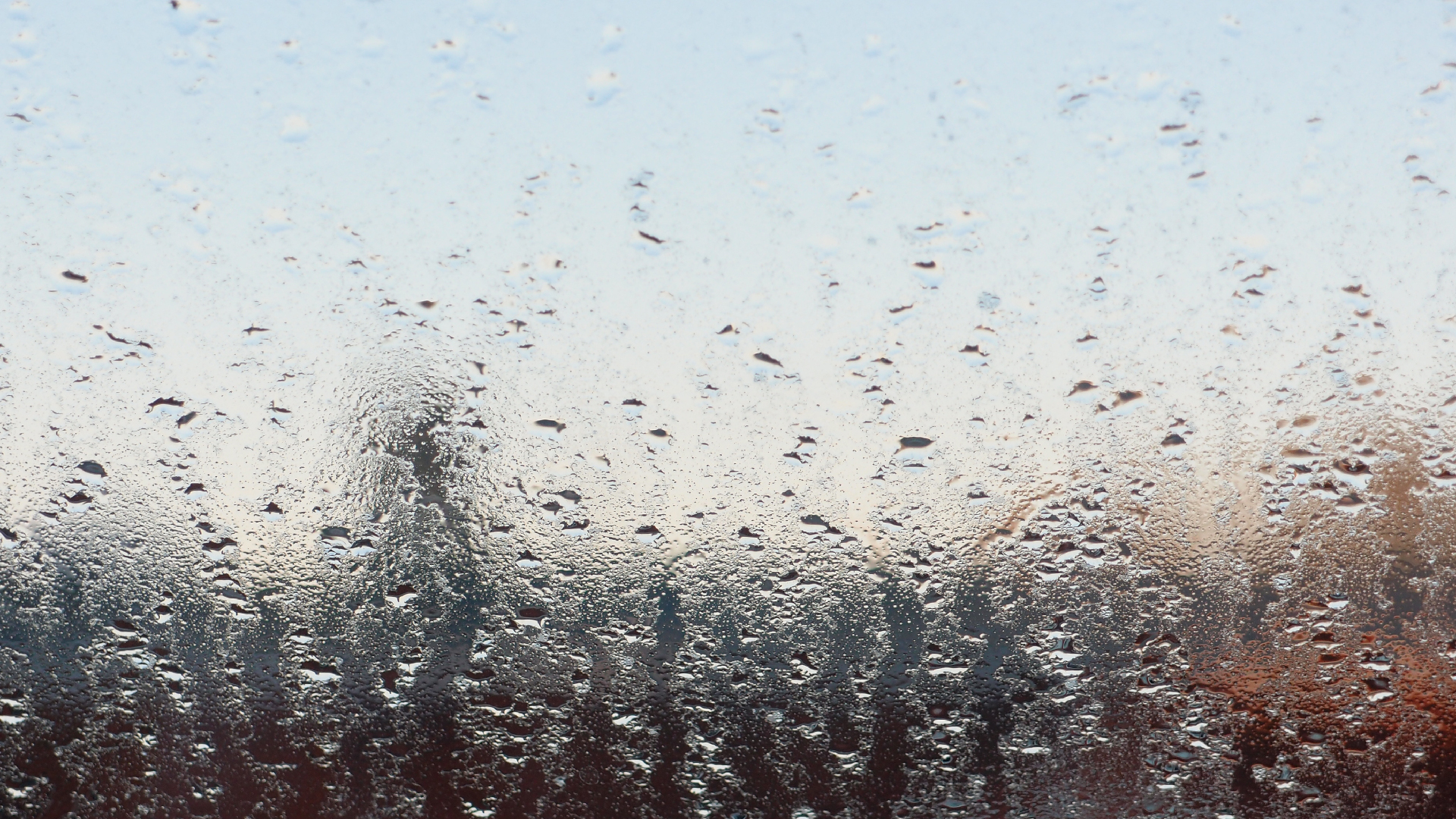 2021-10 Das Kleine Regen Rhythmus Orchester (Banjo Remix 2) (Audio, Foto, Typo Grafik)