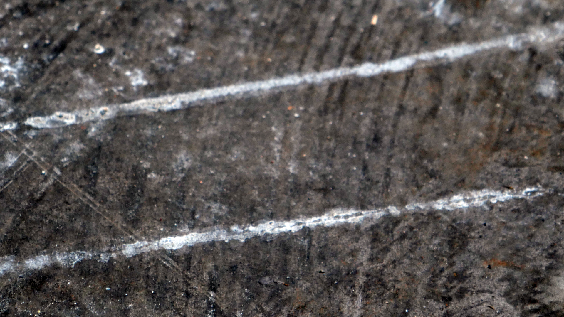2021-12-14 Das Kleine Regen Rhythmus Orchester (4 Plastikten) (Remix)