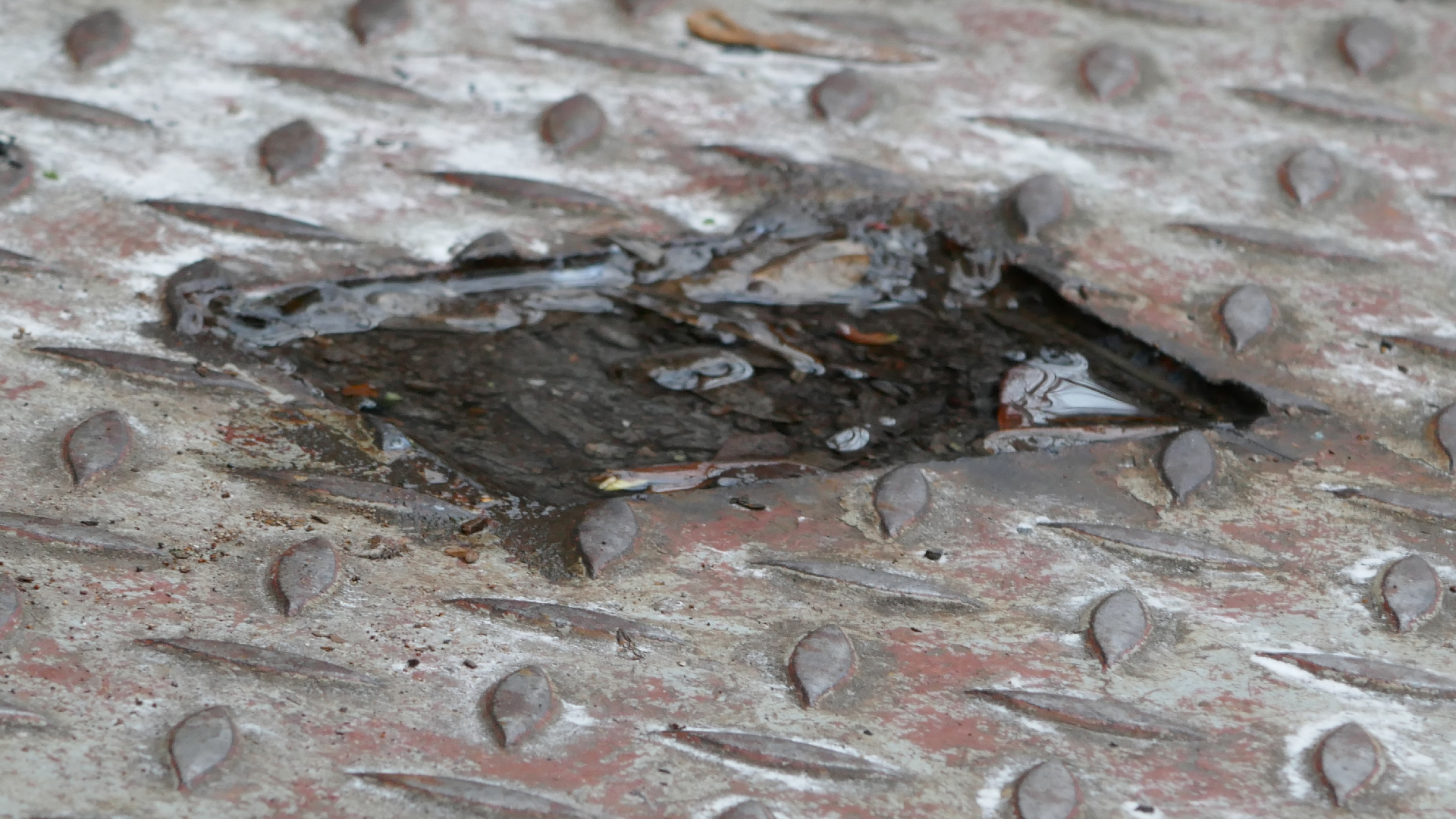 2021-12-14 Das Kleine Regen Rhythmus Orchester (4 Plastikten) (Remix)