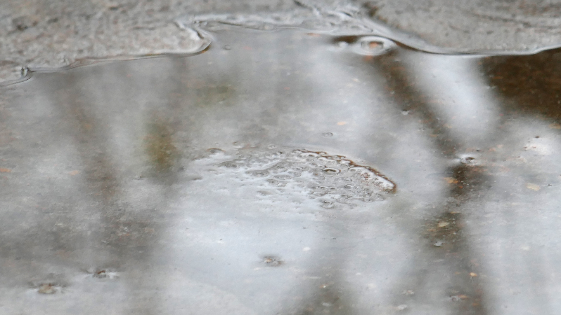 2021-12-14 Das Kleine Regen Rhythmus Orchester (4 Plastikten) (Remix)
