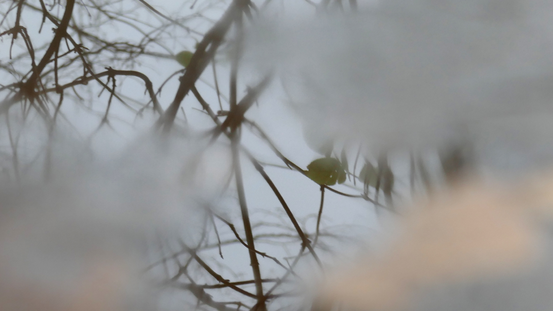 2021-12-14 Das Kleine Regen Rhythmus Orchester (4 Plastikten) (Remix)