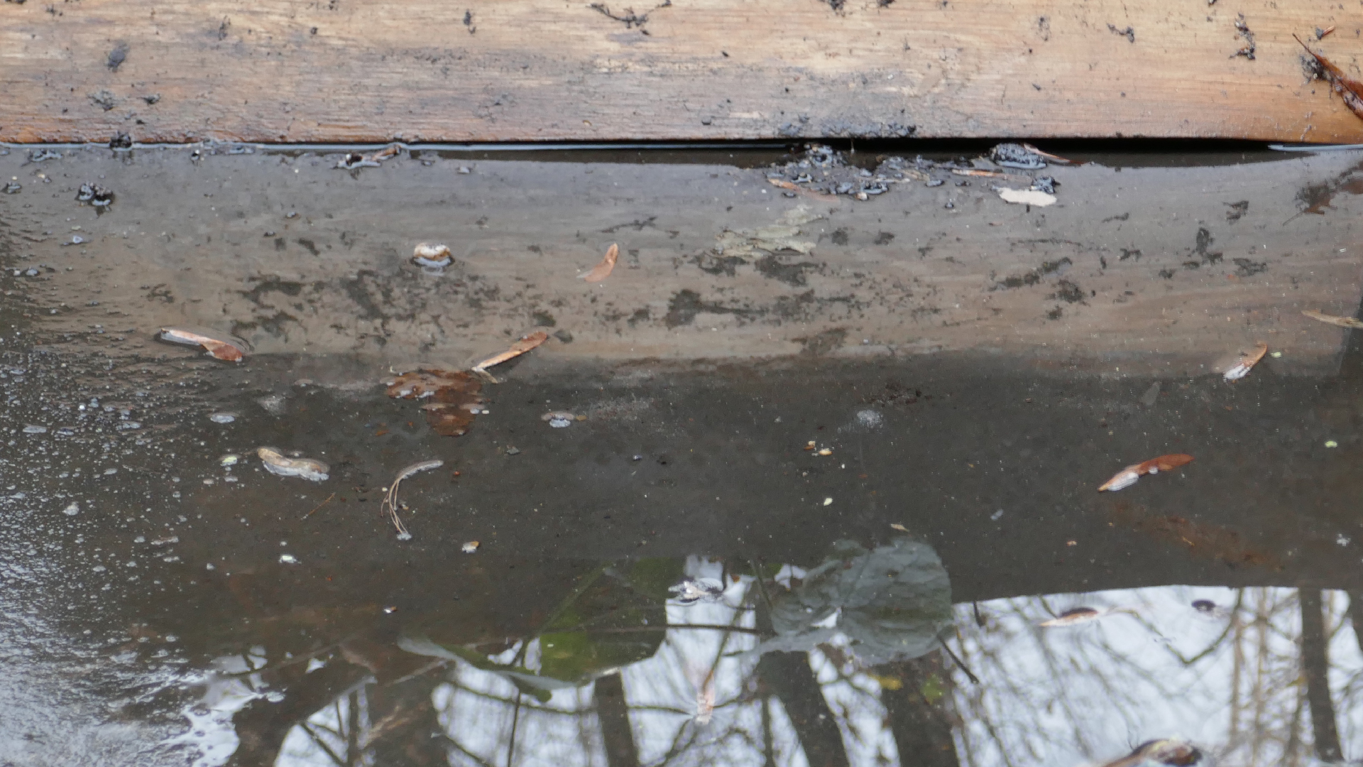 2021-12-14 Das Kleine Regen Rhythmus Orchester (4 Plastikten) (Remix)