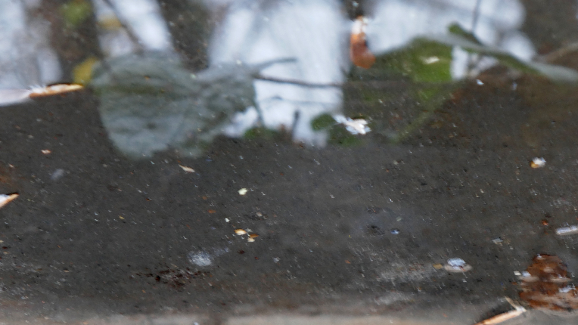 2021-12-14 Das Kleine Regen Rhythmus Orchester (4 Plastikten) (Remix)