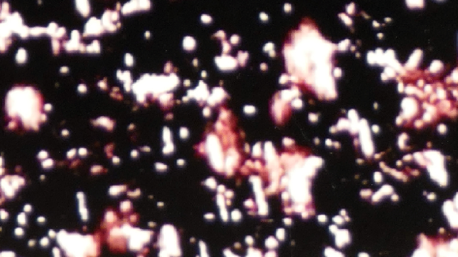 2022-01-03 John Cage - Complete Song Books (KR029) (2016) (2V) (Mix und Remix)