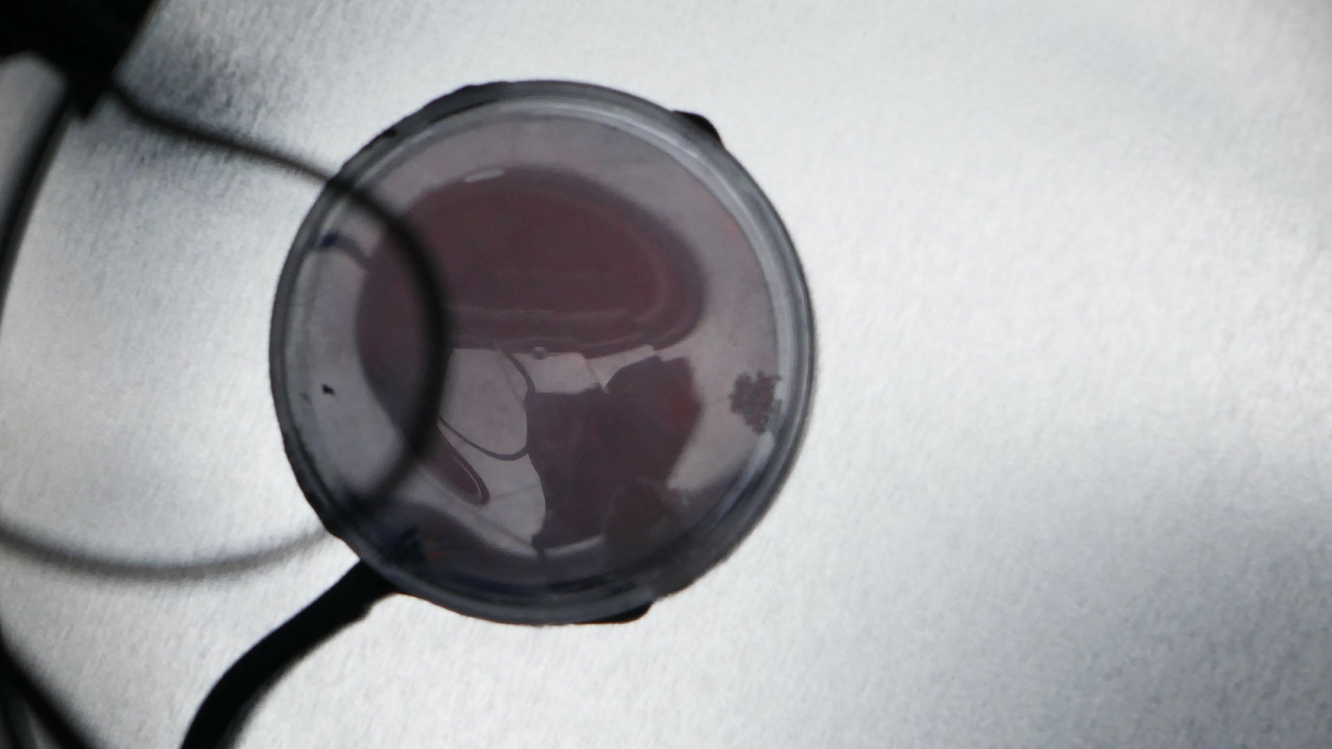 2025-07-16 Das kleine Regen Rhythmus Orchester (Vocoder Mix live, neues Set-Up)