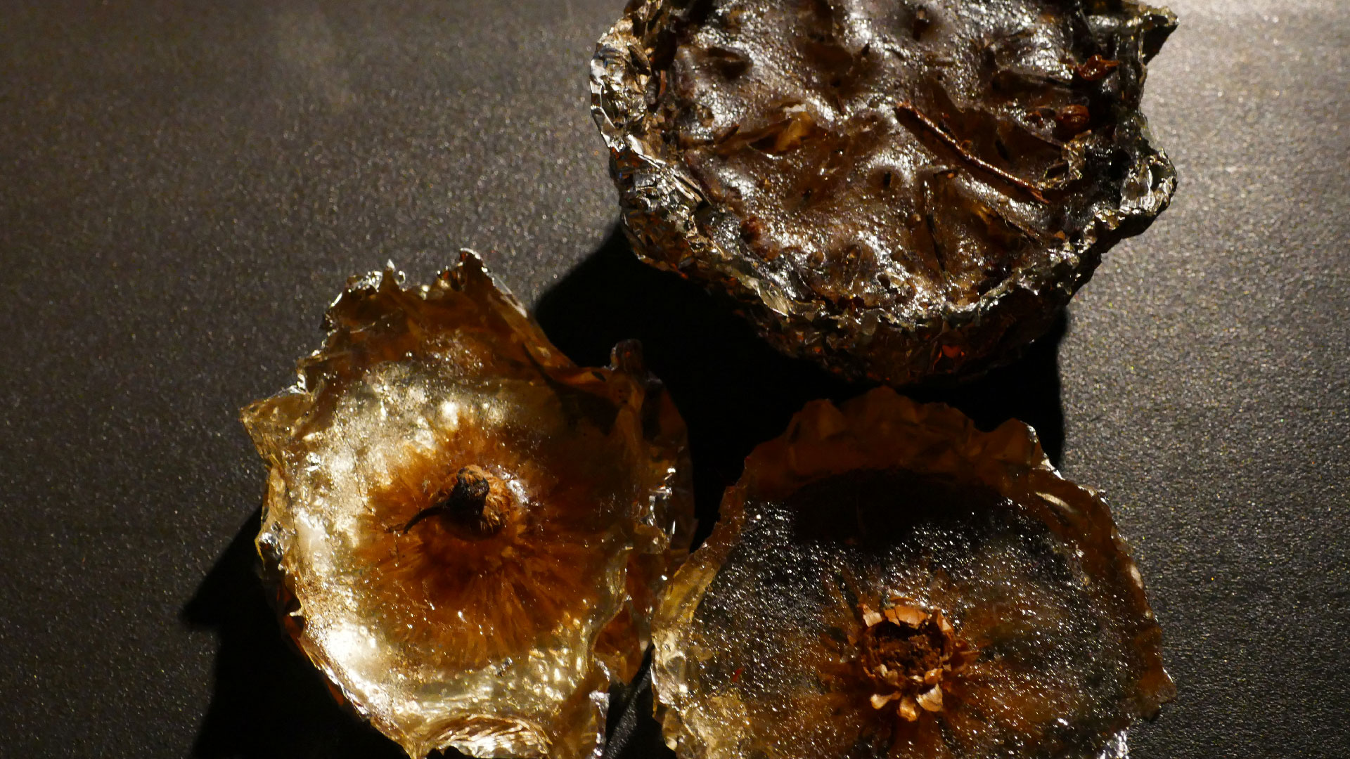 2025-12-22 SND 4 Vinyl hl Quad Motor Driver Tape Echo Vocoder Mix (abspielen Tape 30)