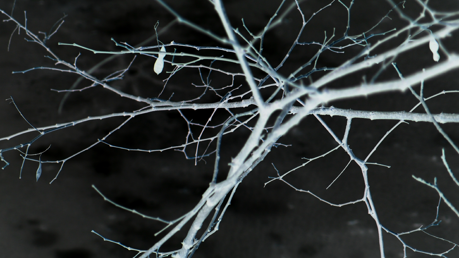 2021-03-12 Regen auf Fensterb�nken II (Fieldrecording + Typo Grafik Video)