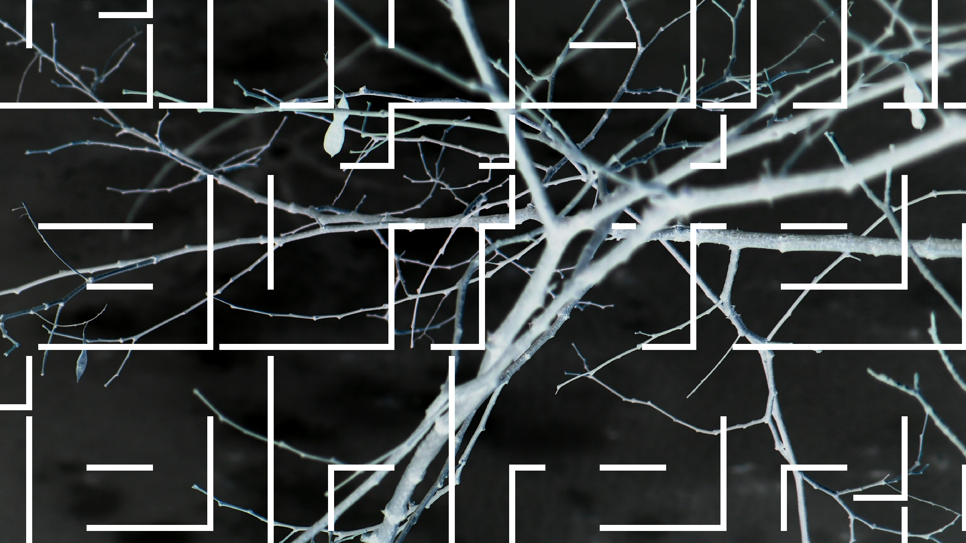 2021-03-12 Regen auf Fensterb�nken II (Fieldrecording + Typo Grafik Video)