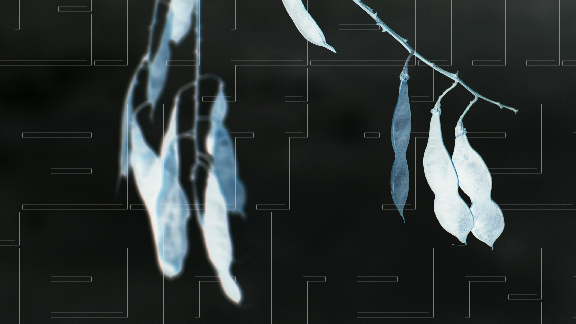 2021-03-12 Regen auf Fensterb�nken II (Fieldrecording + Typo Grafik Video)