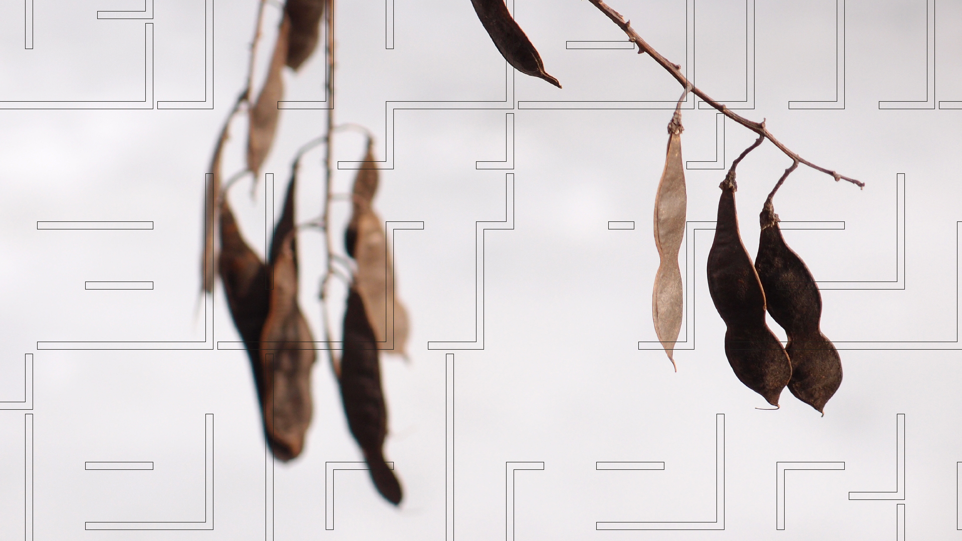 2021-03-12 Regen auf Fensterb�nken II (Fieldrecording + Typo Grafik Video)