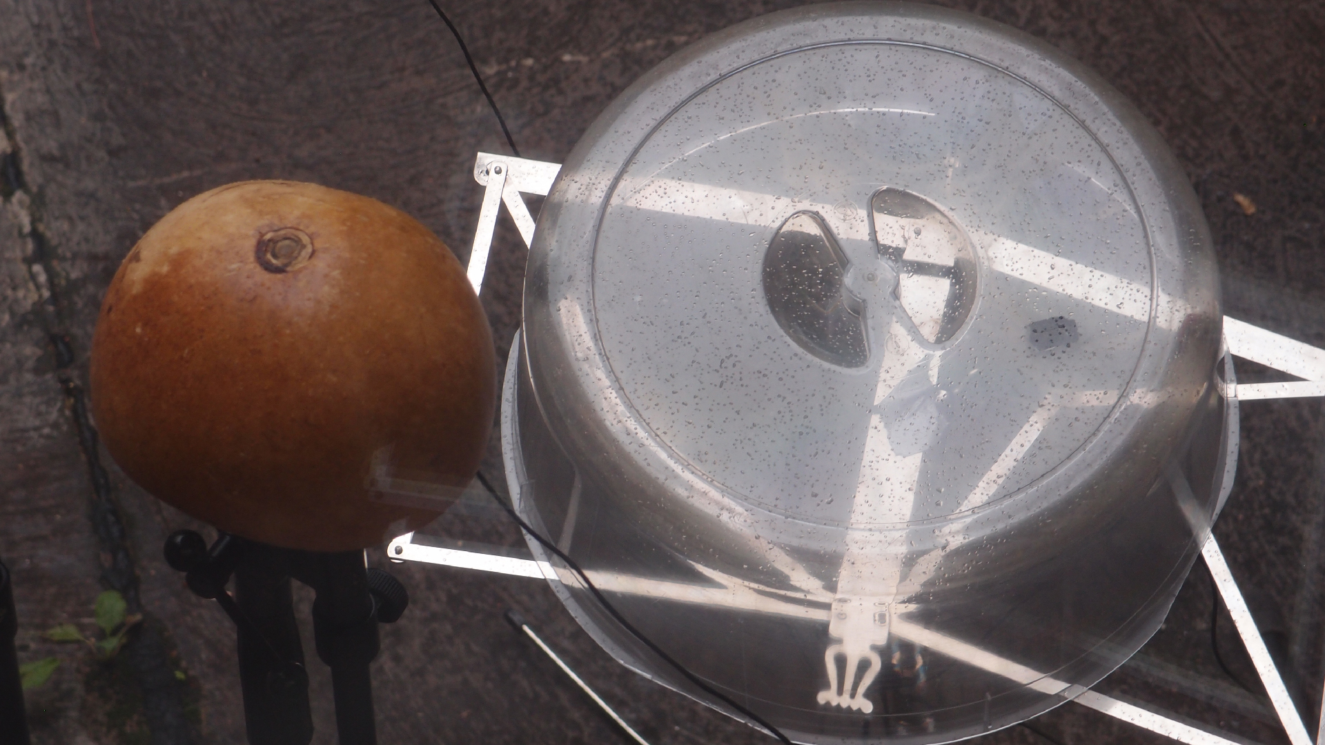 2021-08-17 Das Kleine Regen Rhythmus Orchester spielt wieder ein bi�chen (Plastik, Alu, Pappe, Kalebasse, Tetrapack)