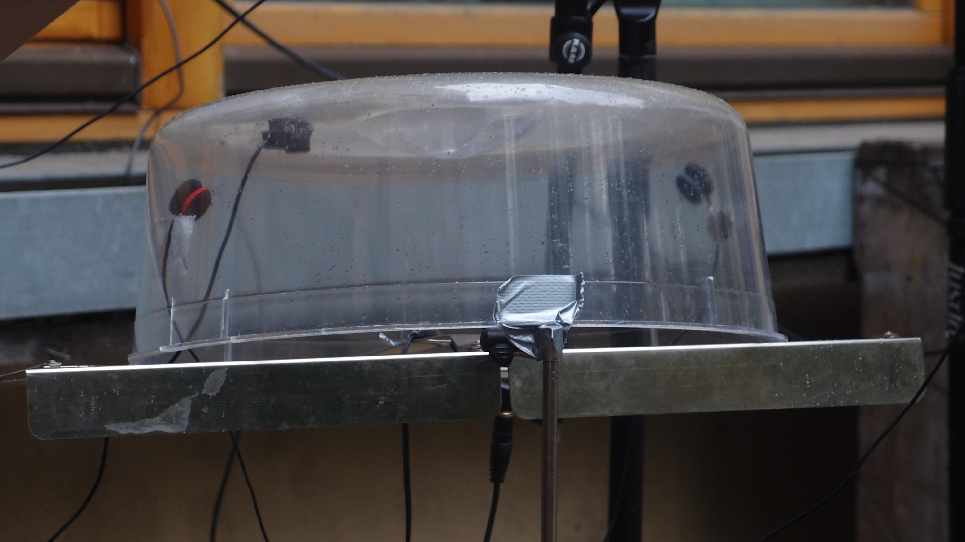 2021-08-17 Das Kleine Regen Rhythmus Orchester spielt wieder ein bi�chen (Plastik, Alu, Pappe, Kalebasse, Tetrapack)