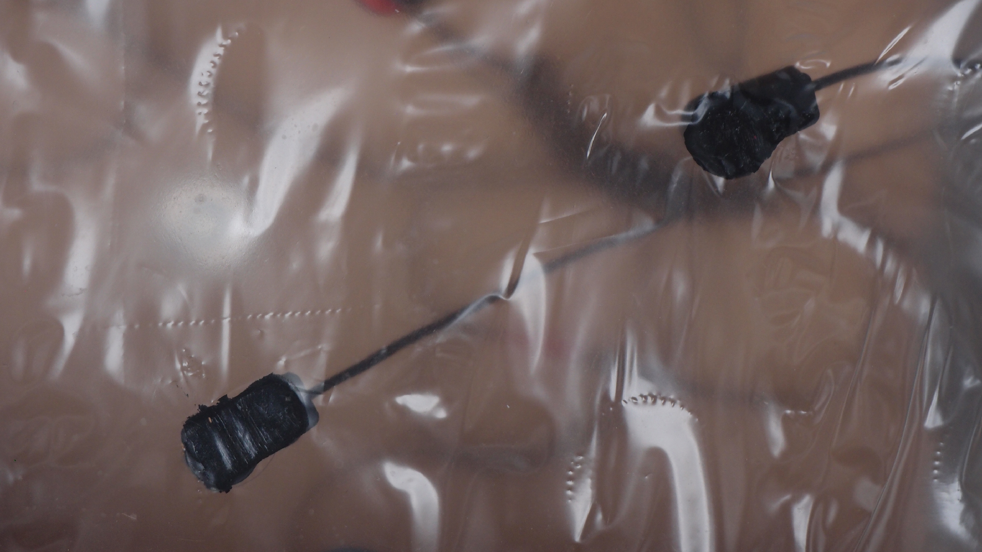 2021-08-22 Das Kleine Regen Rhythmus Orchester spielt 'Autonome Beats' (Horn und Tetrapack)