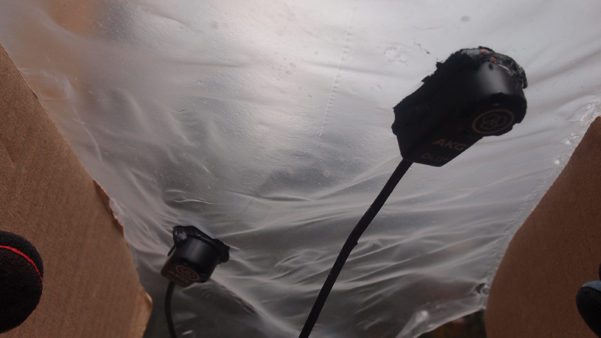 2021-08-22 Das Kleine Regen Rhythmus Orchester spielt 'Autonome Beats' (Horn und Tetrapack)