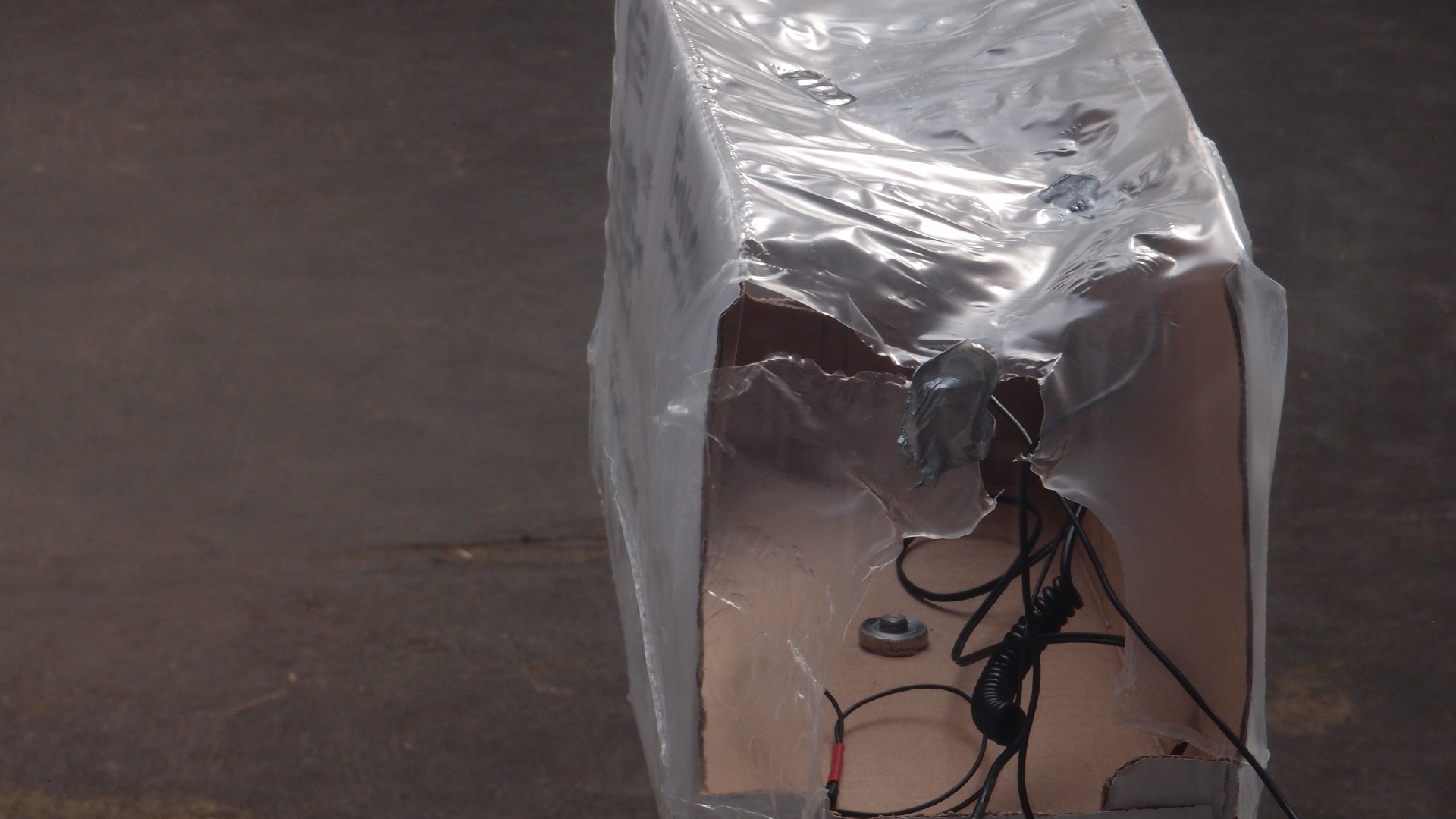 2021-08-22 Das Kleine Regen Rhythmus Orchester spielt 'Autonome Beats' (Horn und Tetrapack)