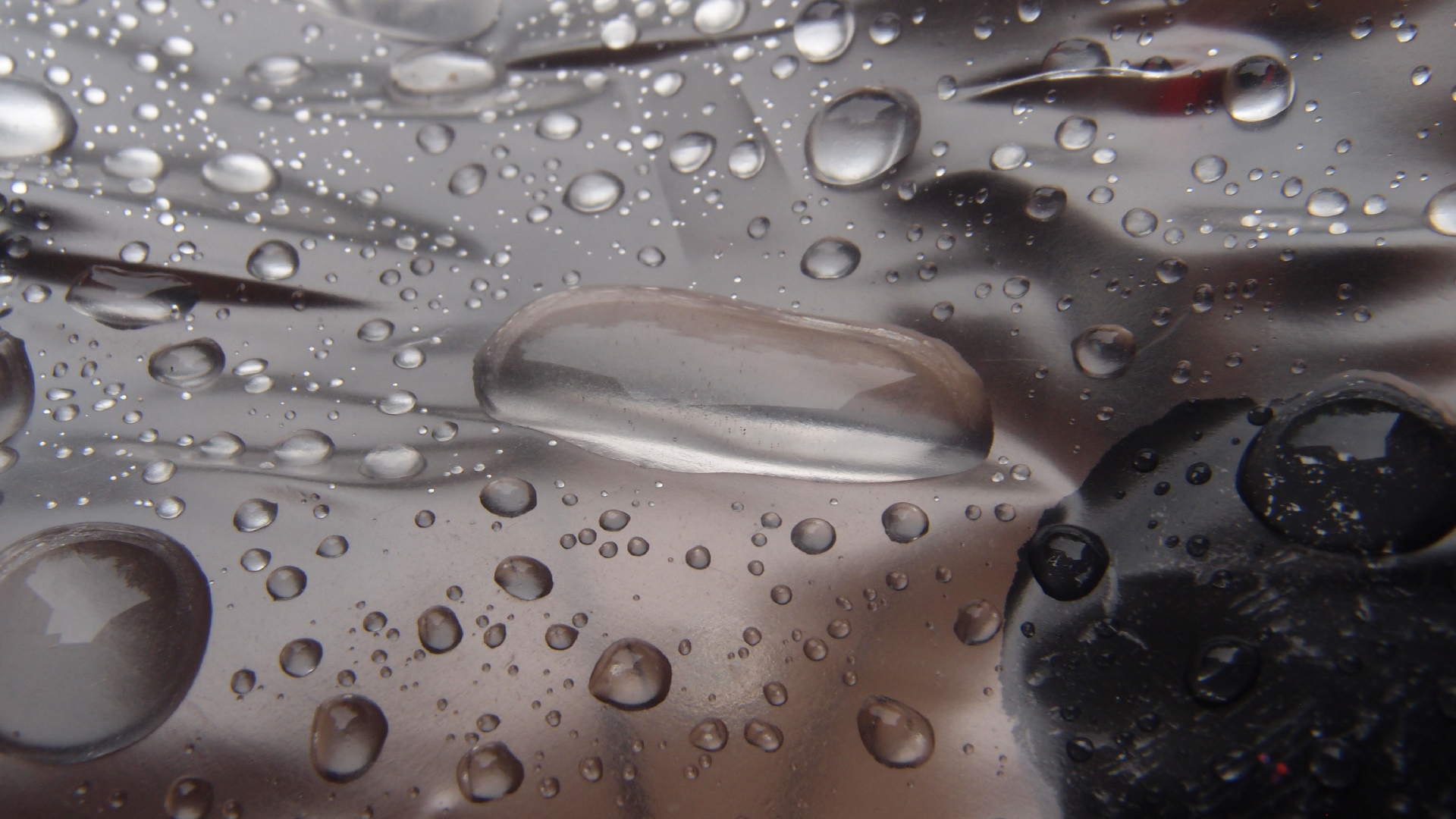 2021-08-22 Das Kleine Regen Rhythmus Orchester spielt 'Autonome Beats' (Horn und Tetrapack)