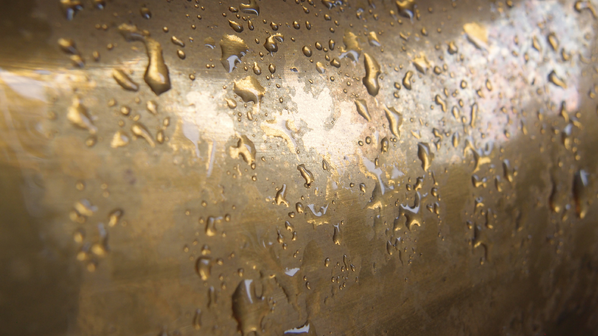 2021-08-22 Das Kleine Regen Rhythmus Orchester spielt 'Autonome Beats' (Horn und Tetrapack)