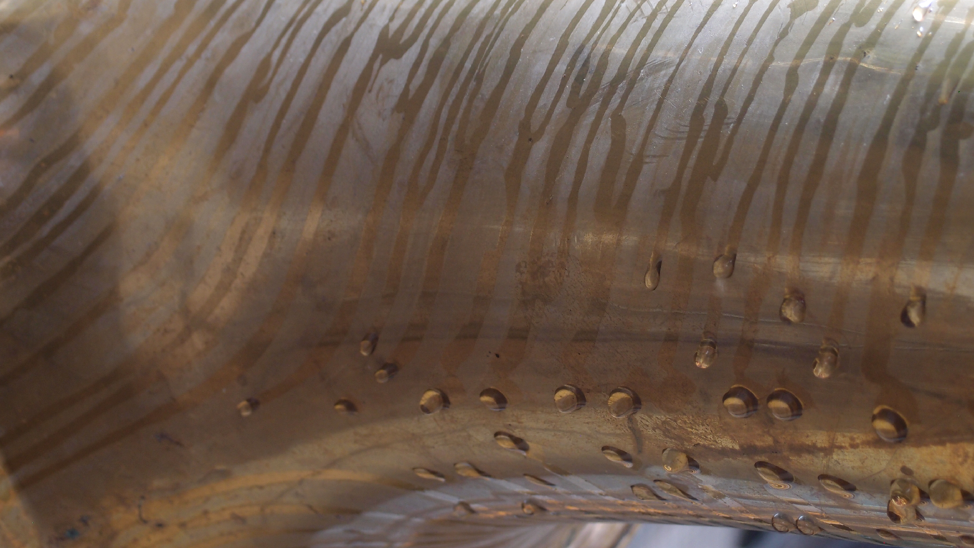 2021-08-22 Das Kleine Regen Rhythmus Orchester spielt 'Autonome Beats' (Horn und Tetrapack)