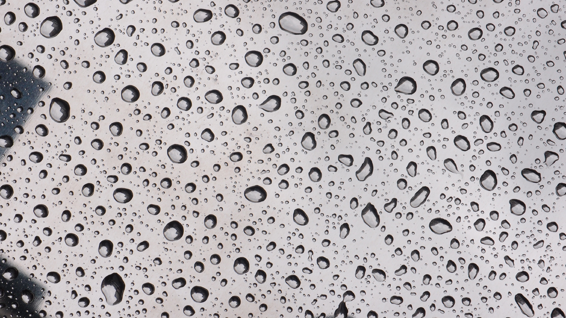 2021-08-30 Das Kleine Regen Rhythmus Orchester spielt 'autonome Beats' (Blech-M�lleimer mit Plastikbeh�lter)