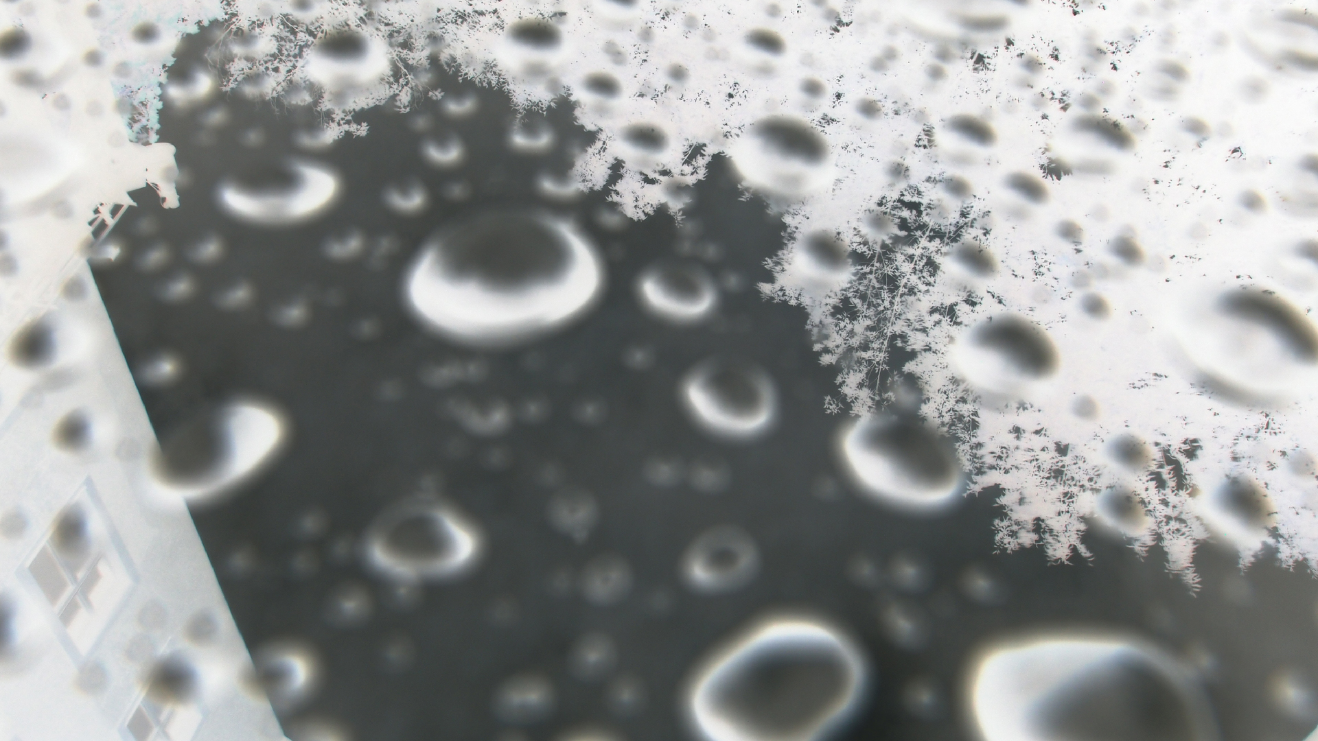 2021-08-30 Das Kleine Regen Rhythmus Orchester spielt 'autonome Beats' (Blech-M�lleimer mit Plastikbeh�lter)