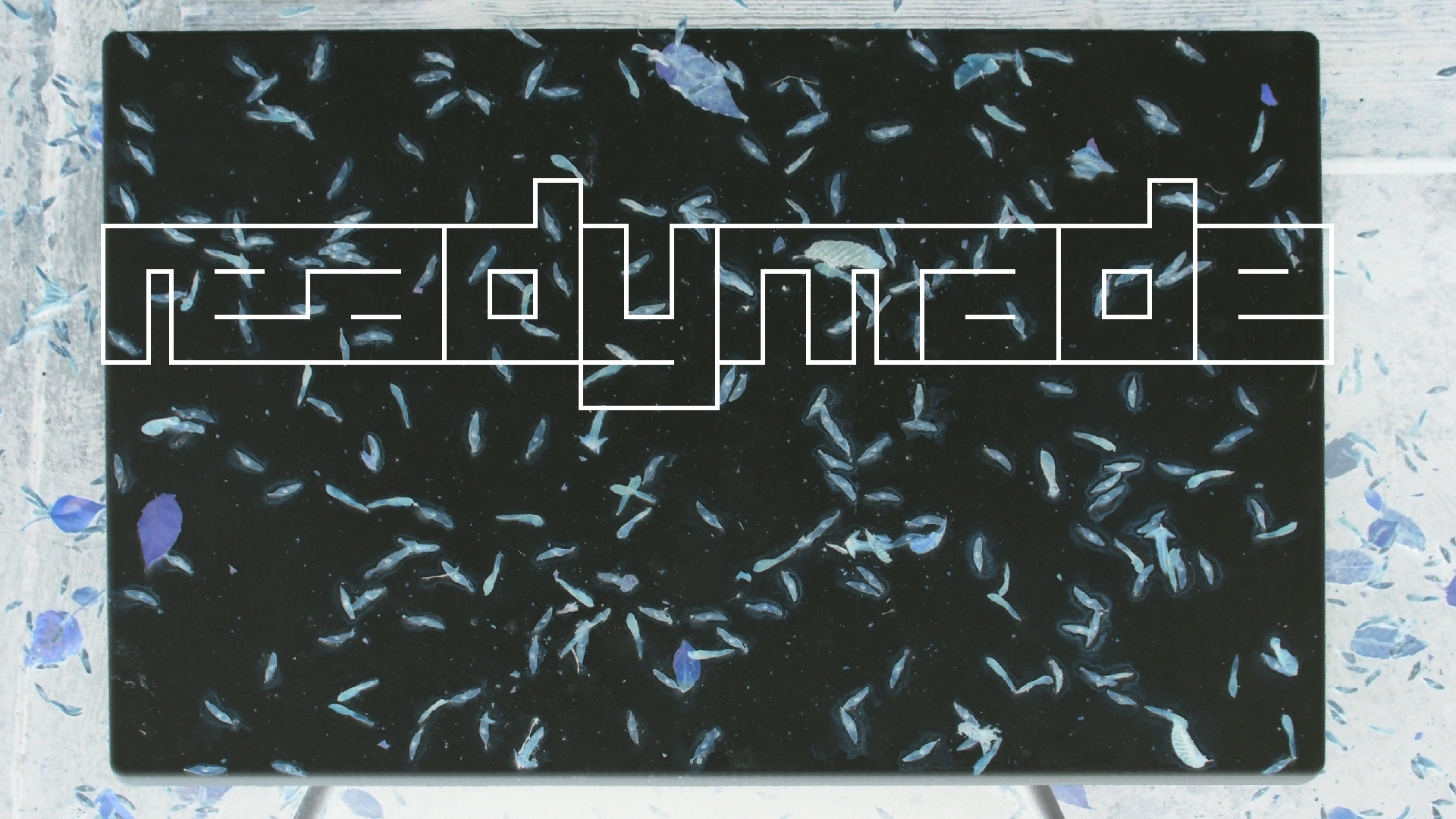 2021-10-25 Vocoder mit 2 Tonbndern (Audio, Foto, Grafk)