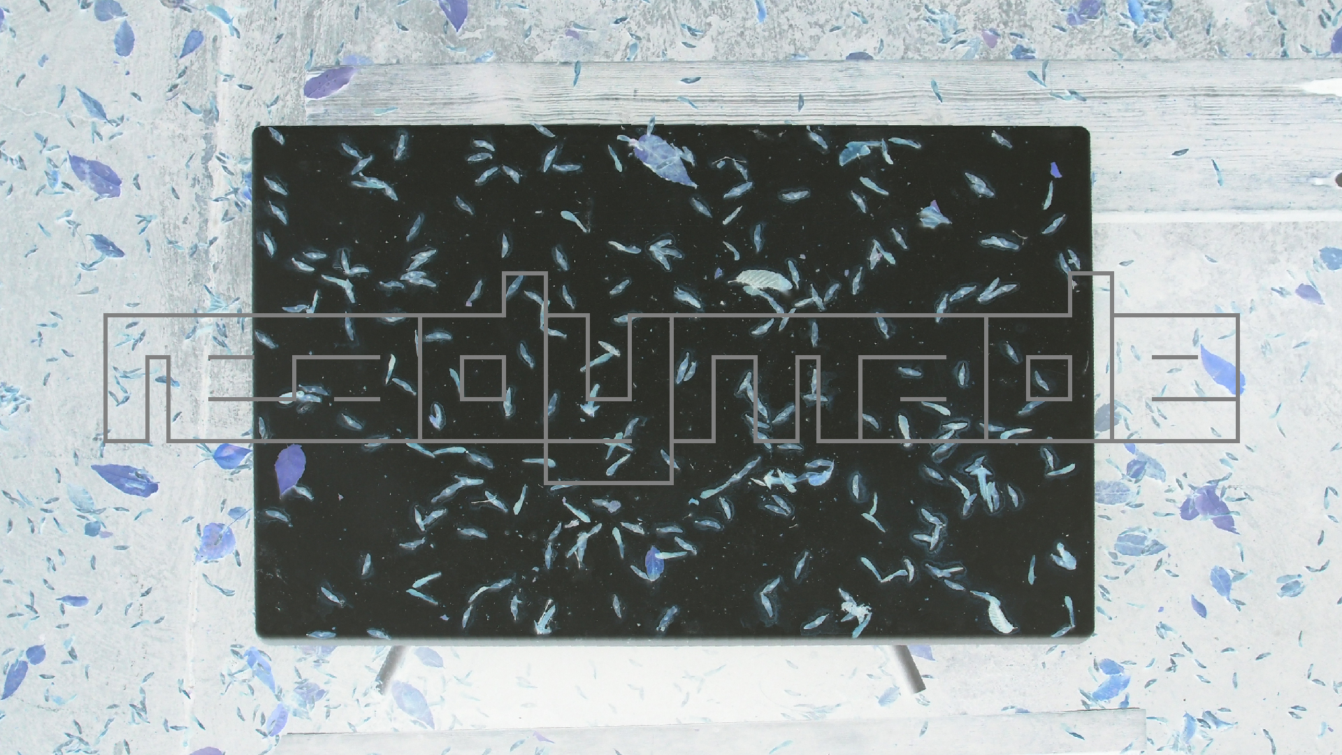 2021-10-25 Vocoder mit 2 Tonbndern (Audio, Foto, Grafk)