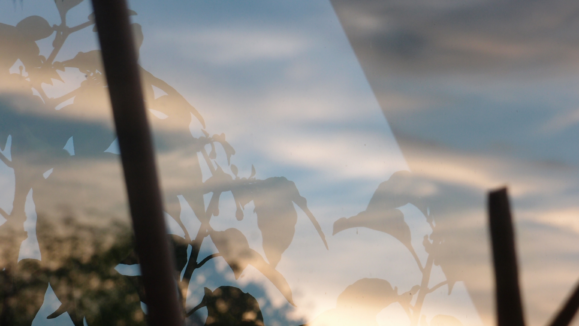 2021-10-25 Vocoder mit 2 Tonbndern (Audio, Foto, Grafk)