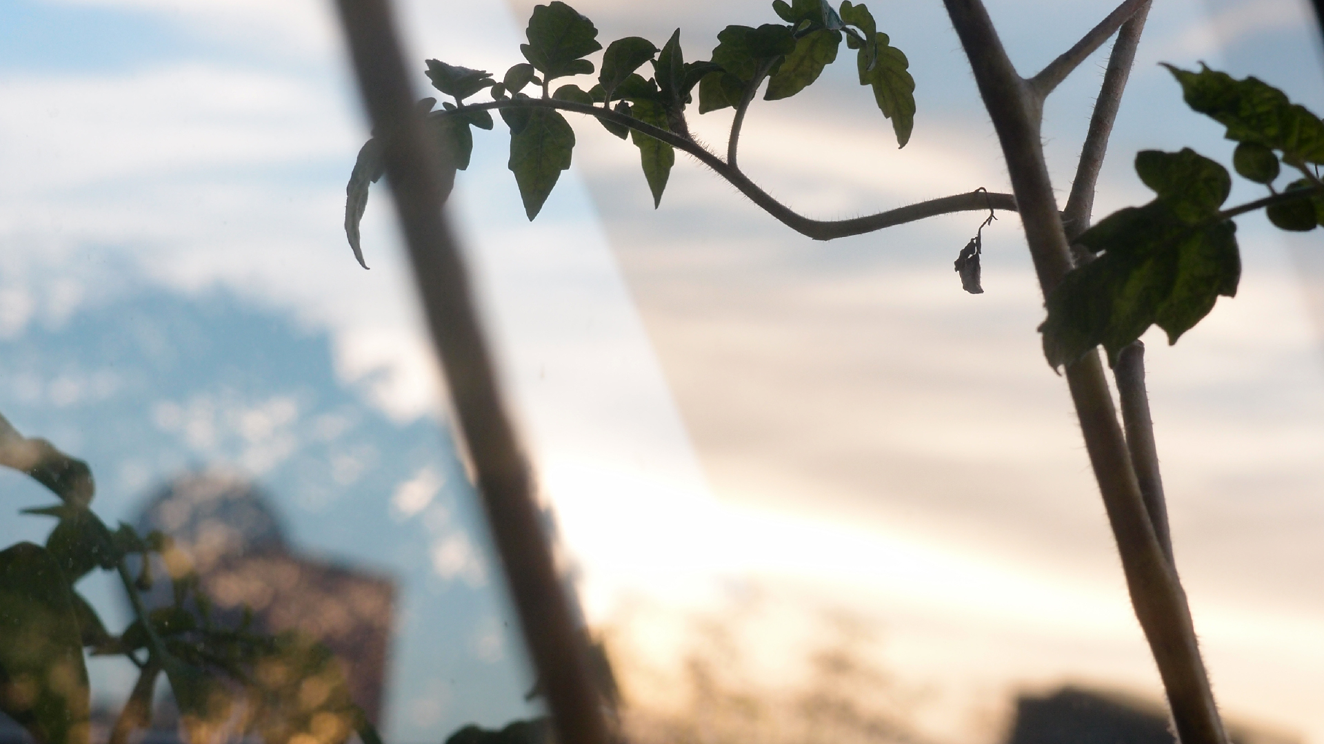 2021-10-25 Vocoder mit 2 Tonbndern (Audio, Foto, Grafk)