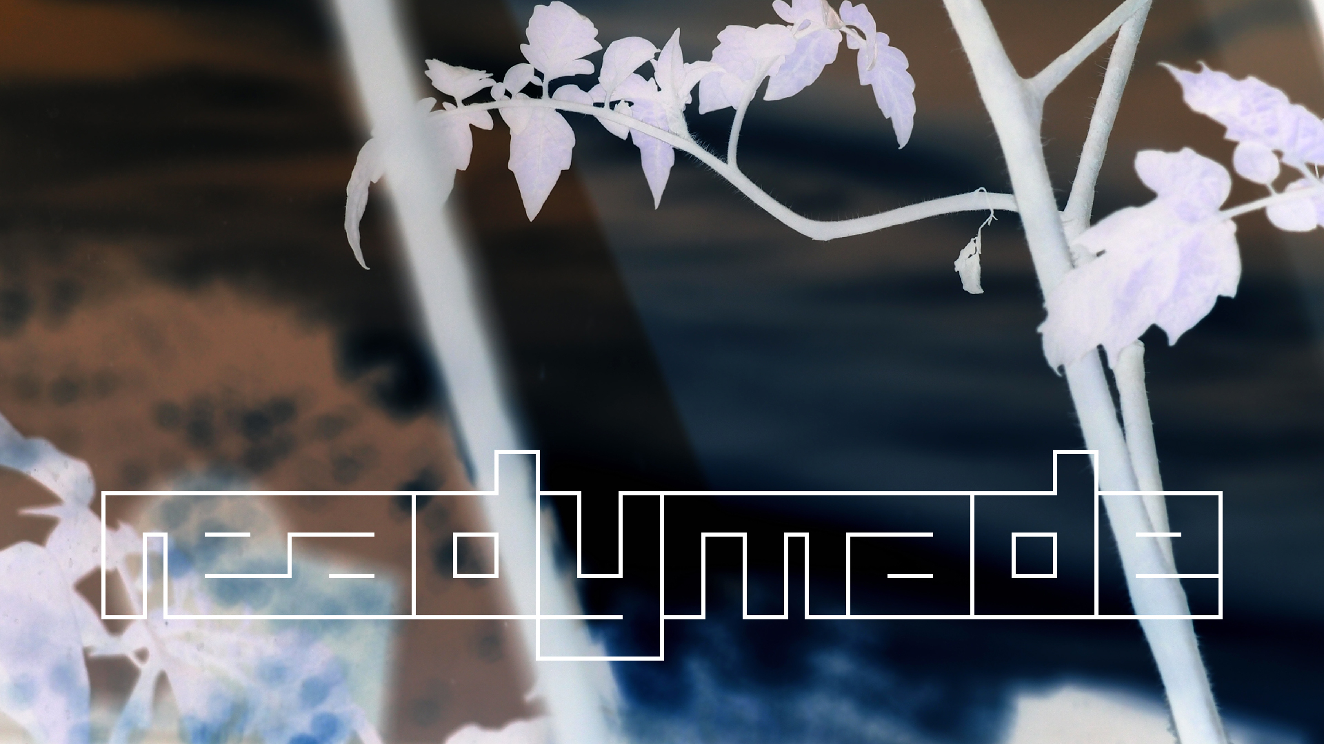 2021-10-25 Vocoder mit 2 Tonbndern (Audio, Foto, Grafk)