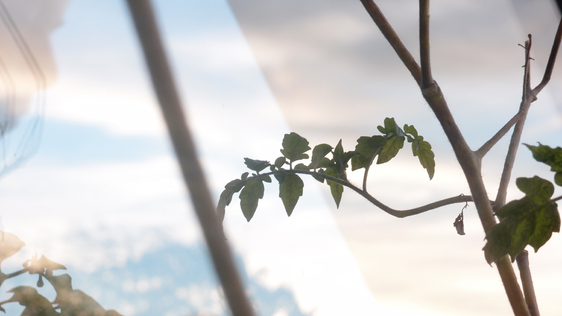 2021-10-25 Vocoder mit 2 Tonbndern (Audio, Foto, Grafk)