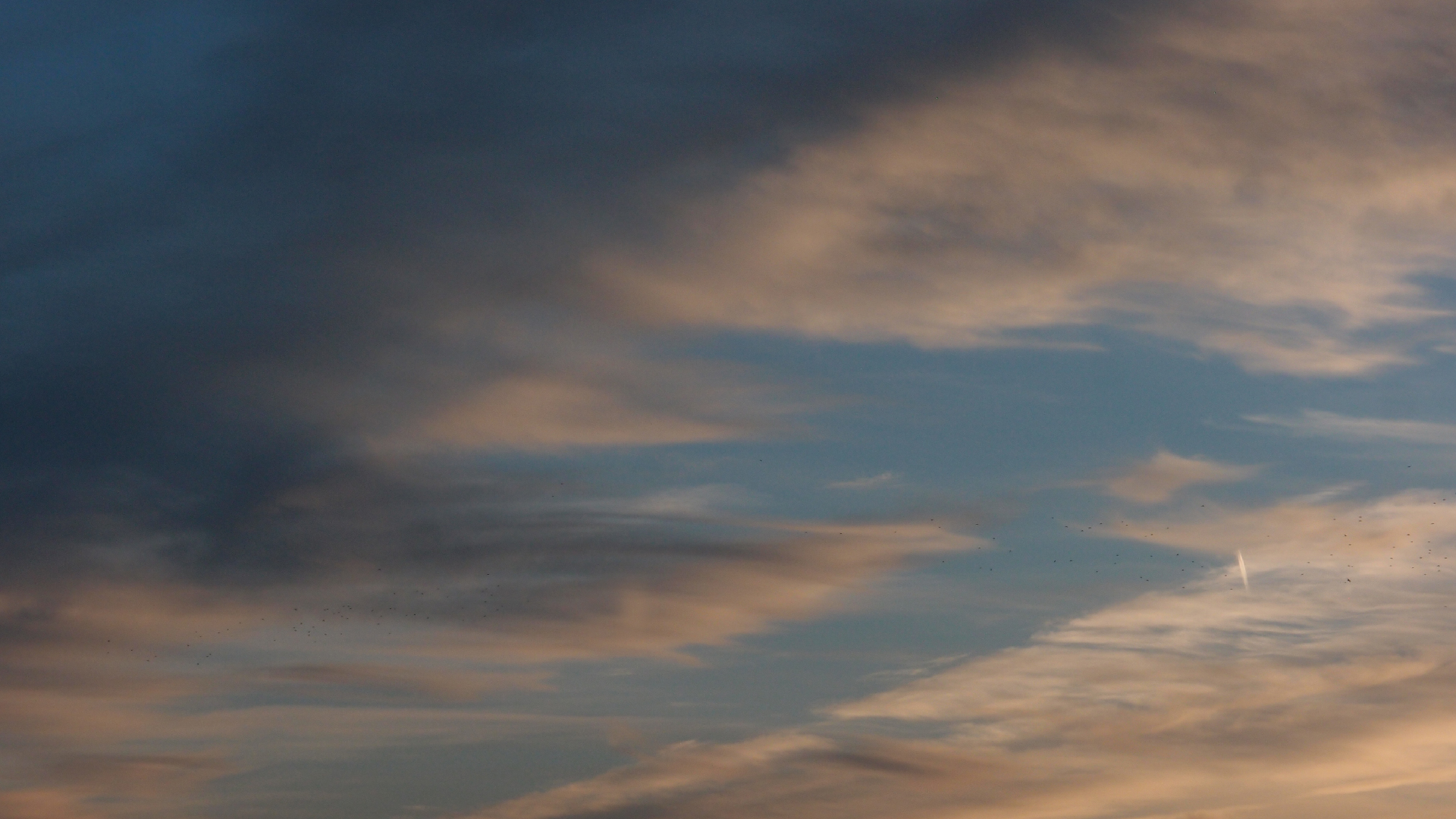 2021-10-25 Vocoder mit 2 Tonbndern (Audio, Foto, Grafk)