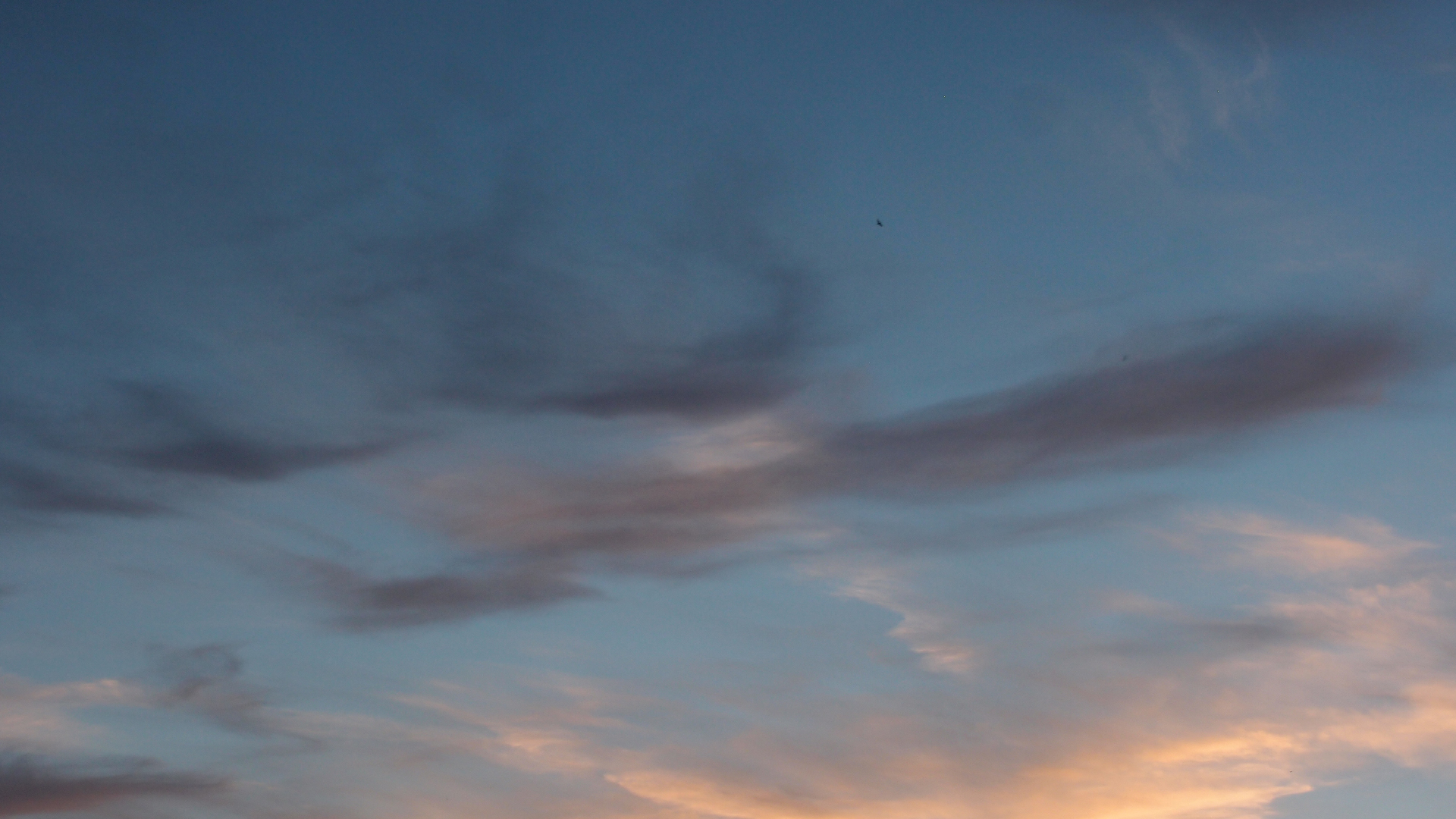 2021-10-25 Vocoder mit 2 Tonbndern (Audio, Foto, Grafk)