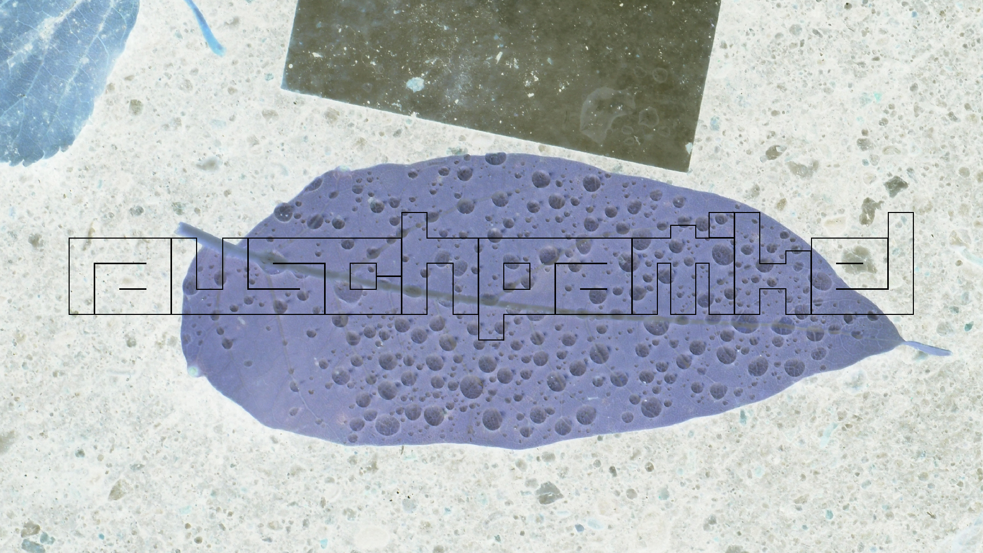 2021-10-25 Vocoder mit 2 Tonbndern (Audio, Foto, Grafk)