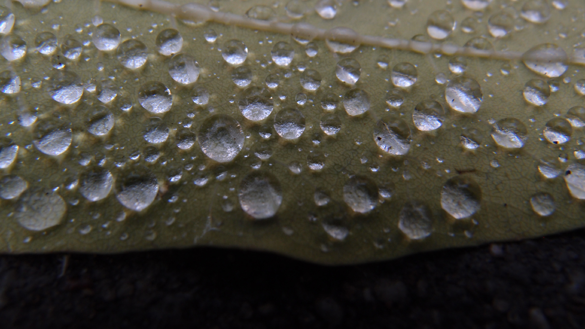 2021-10-25 Vocoder mit 2 Tonbndern (Audio, Foto, Grafk)