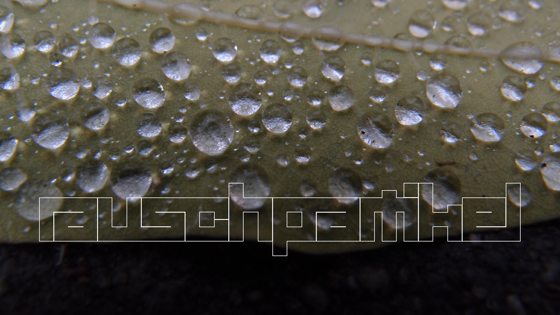 2021-10-25 Vocoder mit 2 Tonbndern (Audio, Foto, Grafk)