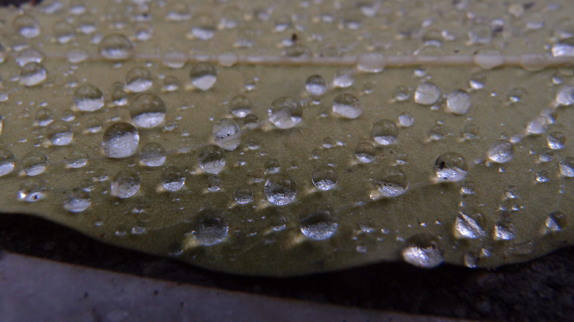 2021-10-25 Vocoder mit 2 Tonbndern (Audio, Foto, Grafk)